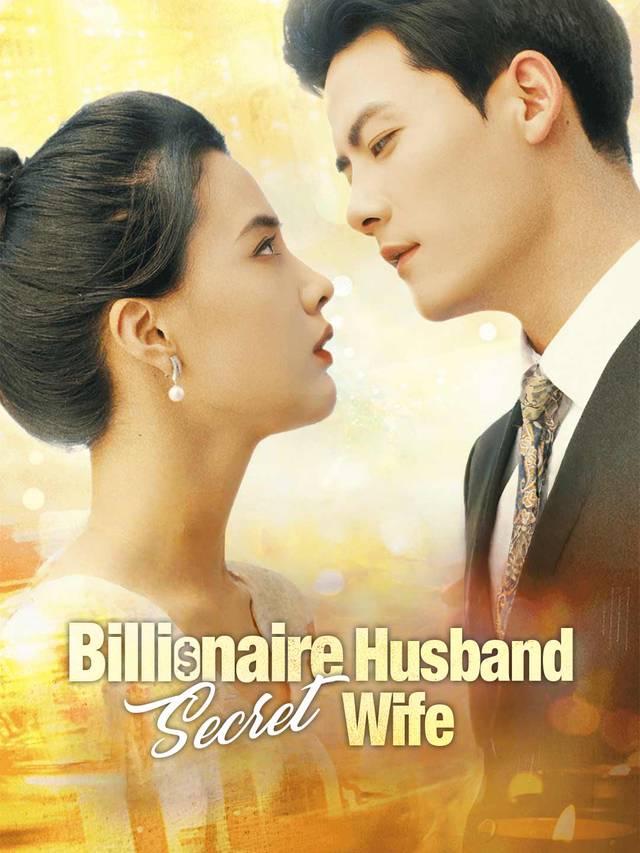Billionaire Husband, Secret Wife