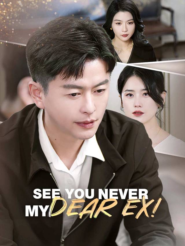 See You Never, My Dear Ex! movie