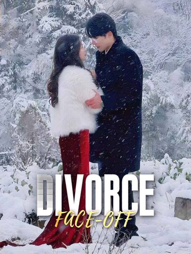Divorce Face-Off movie