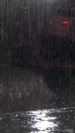 How to Land a Movie Star episode 32