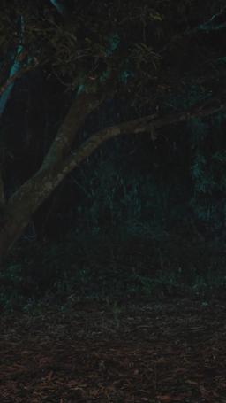 The Bride of the Wolf King episode 49