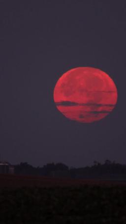 Married To A Stranger episode 39