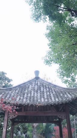 When a Morden Girl Fell Into the Prince’s Harem episode 56