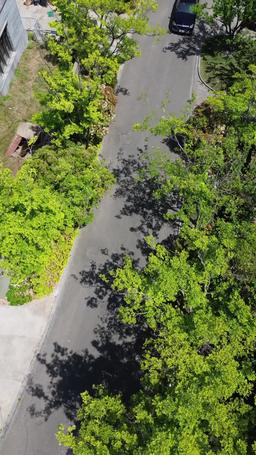 The chauffeur episode 10