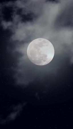 Claimed by My Hunter Husband episode 47