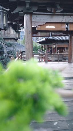 The Abandoned Heiress's Reverse Harem episode 24