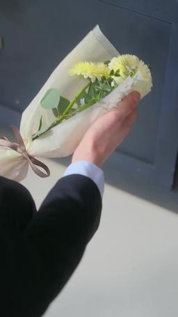 Runaway Bride, Baby on Board episode 65
