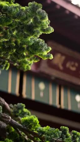 The Regretful Scholar's Pursuit episode 6