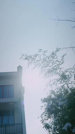 From Ex-Con to Cultivator episode 62