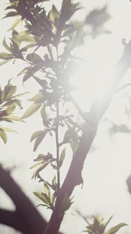 Once Upon A Breakup episode 2