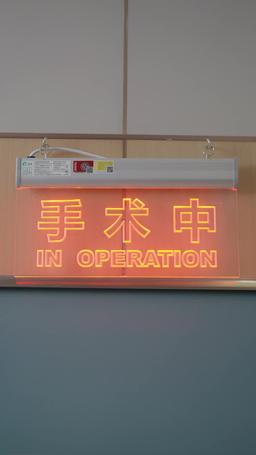 Rogue Lawyer episode 34