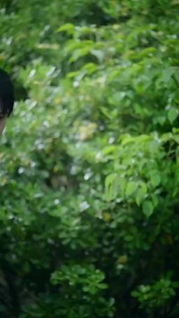 The Villainess Strikes Back episode 76