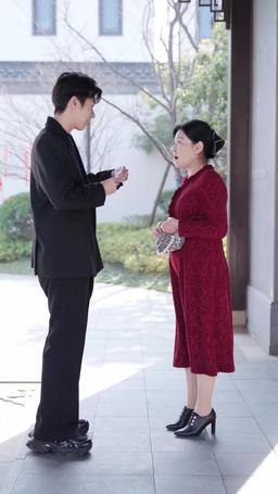 The Family Plan: Love Strikes Twice episode 29