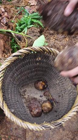 Claimed by My Hunter Husband episode 20