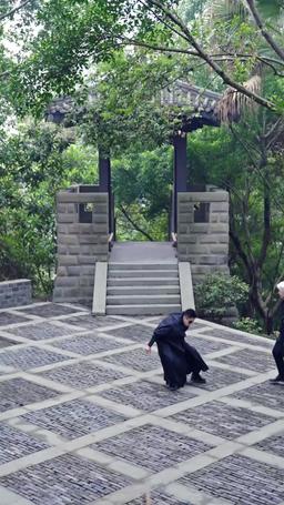 Little Lucky Dragon: Nova episode 37