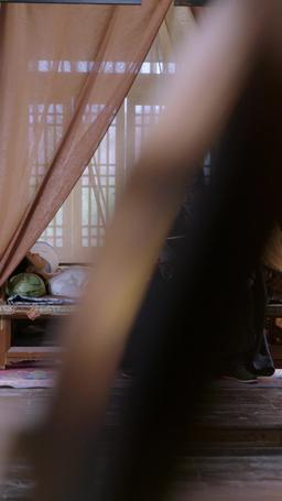 Reborn in Flames episode 36