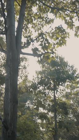 Fate's Chosen: The Last Exorcist episode 60