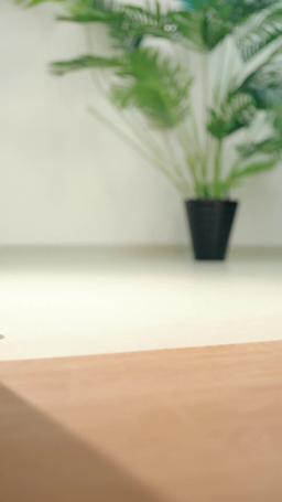 Oops, Roomie, You Picked the Wrong Girl! episode 2