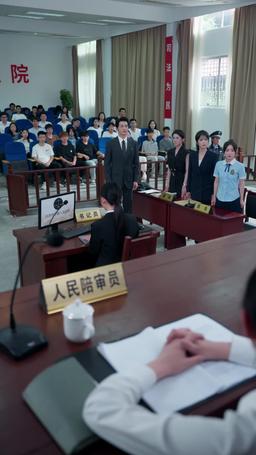 Rogue Lawyer episode 19