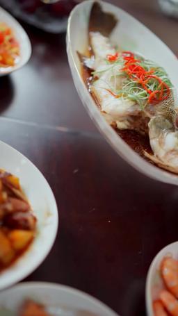 The Stutterer's Symphony episode 14