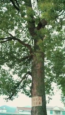 Back to the 90s: Avenging Mom episode 18