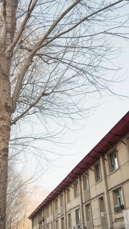 Cheater's Game episode 75