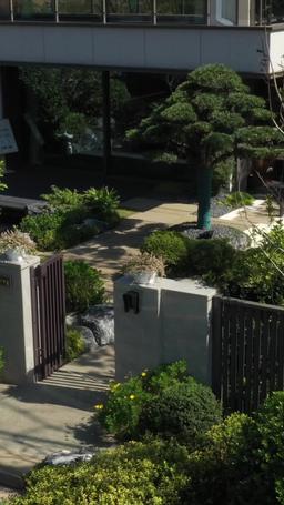 Love at First Shot episode 25