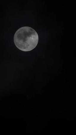 My Script to Sweetness: Healing the Villain's Heart episode 78