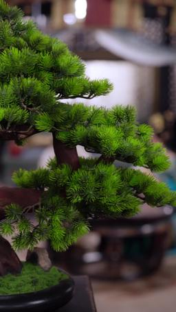 Reborn Bride: Saving the Crown Prince episode 59