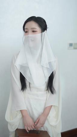 The Billionaire's Secret Wife episode 79