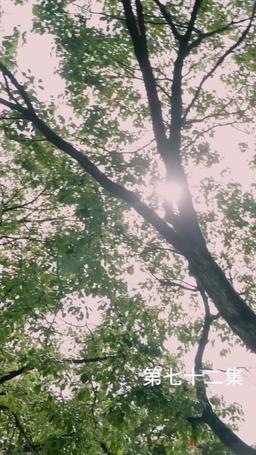 The Martial Healer's Journey to Love episode 72