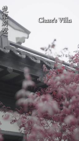 Boss Mom: A Lazy Daydream episode 26