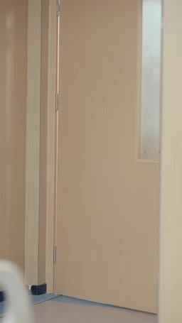 My Ex-Wife The Mafia Princess episode 52