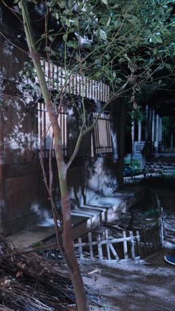 Claimed by My Hunter Husband episode 79