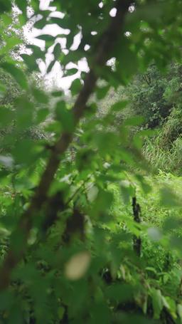 Win Their Hearts, Forge Your Fate episode 32