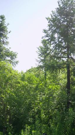 Hey Mommy! Time for a New Daddy! episode 30