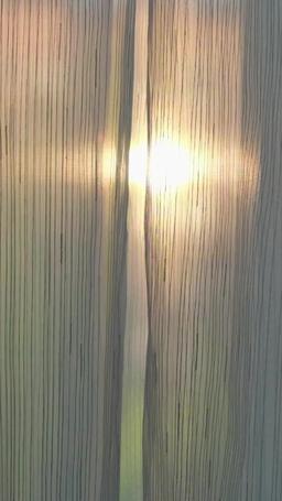 How to Land a Movie Star episode 11