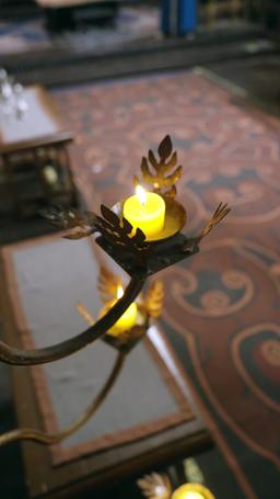 Reborn in Flames episode 17