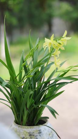 Our Cutie Is Acutually a Ghost Whisperer episode 51