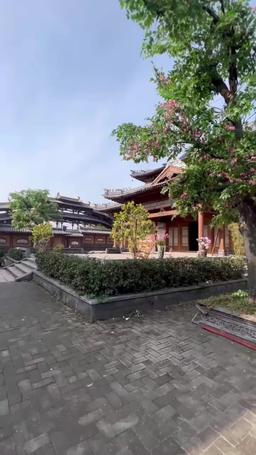 Eternal Dragon Emperor episode 37