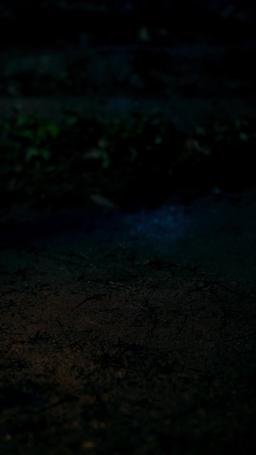 Reborn in Flames episode 33