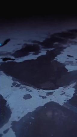 When We Parted, the World Went Still episode 24