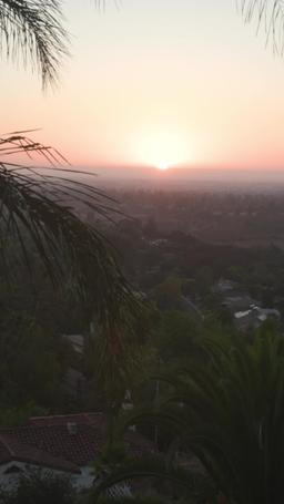 How to Land a Movie Star episode 49