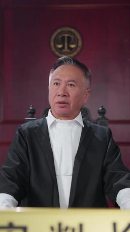 Rogue Lawyer episode 65