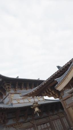 Eternal Dragon Emperor episode 133