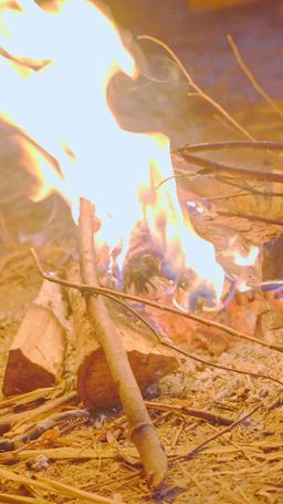 Survival Begins: I Own a System episode 41