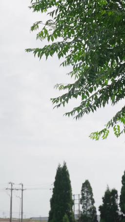 A Mother's Rewind Tomorrow episode 64