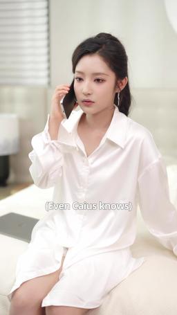 The Billionaire's Secret Wife episode 20