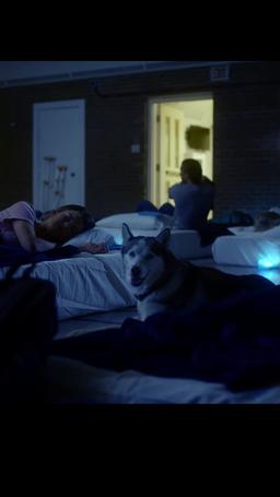 After the Storm episode 12