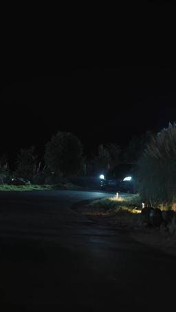 Let’s Get Married, Mr. CEO episode 17